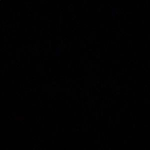 Meet your Posher, Loris